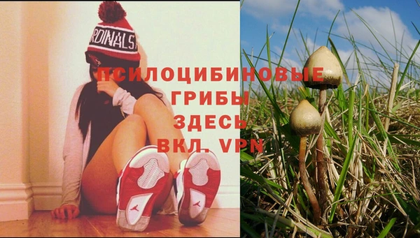 мдма Михайловск