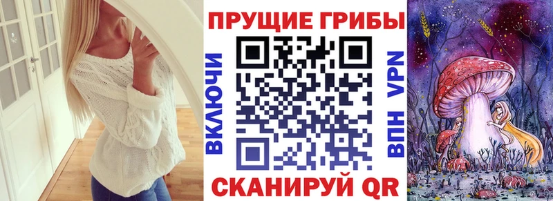 где купить   Сухиничи  Псилоцибиновые грибы мухоморы 