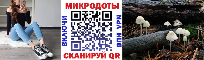 Галлюциногенные грибы GOLDEN TEACHER Сухиничи